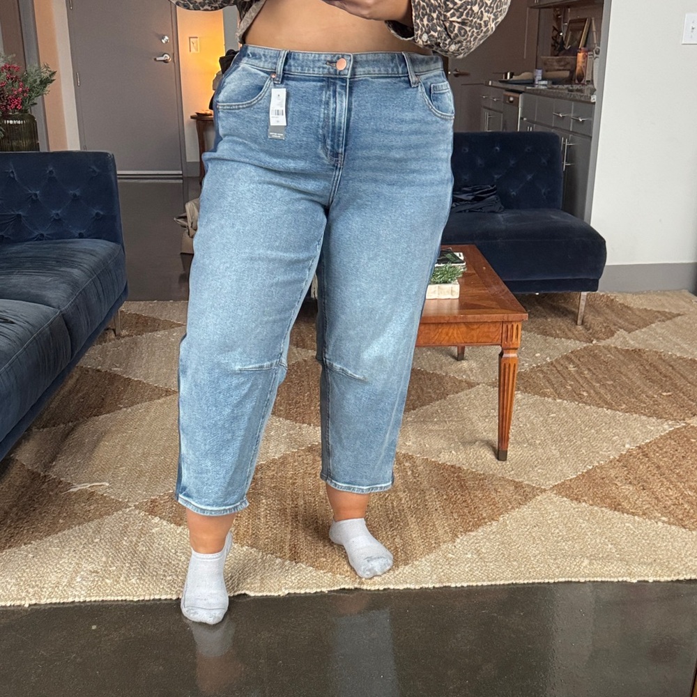 Lane Bryant Light Blue Ankle Jeans